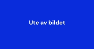 Schjelderup-konkurrent solgt for 270 millioner