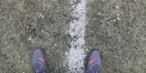 avbildet ullevaal gresset