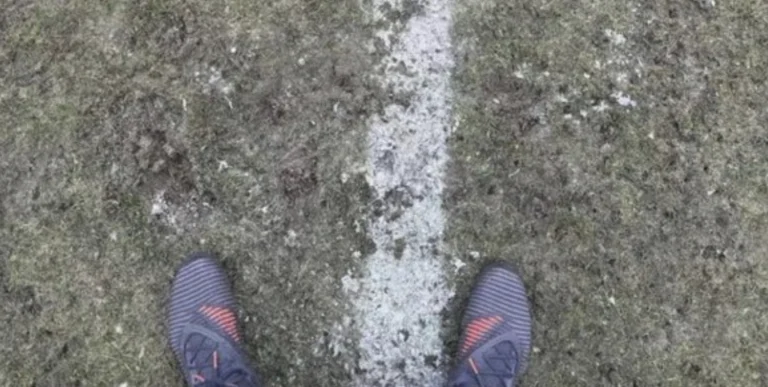 avbildet ullevaal gresset